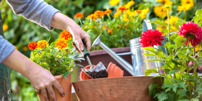Year-Round Elegance: Styling Tips for Your Outdoor Space with Eterna Home's Teak Garden Furniture