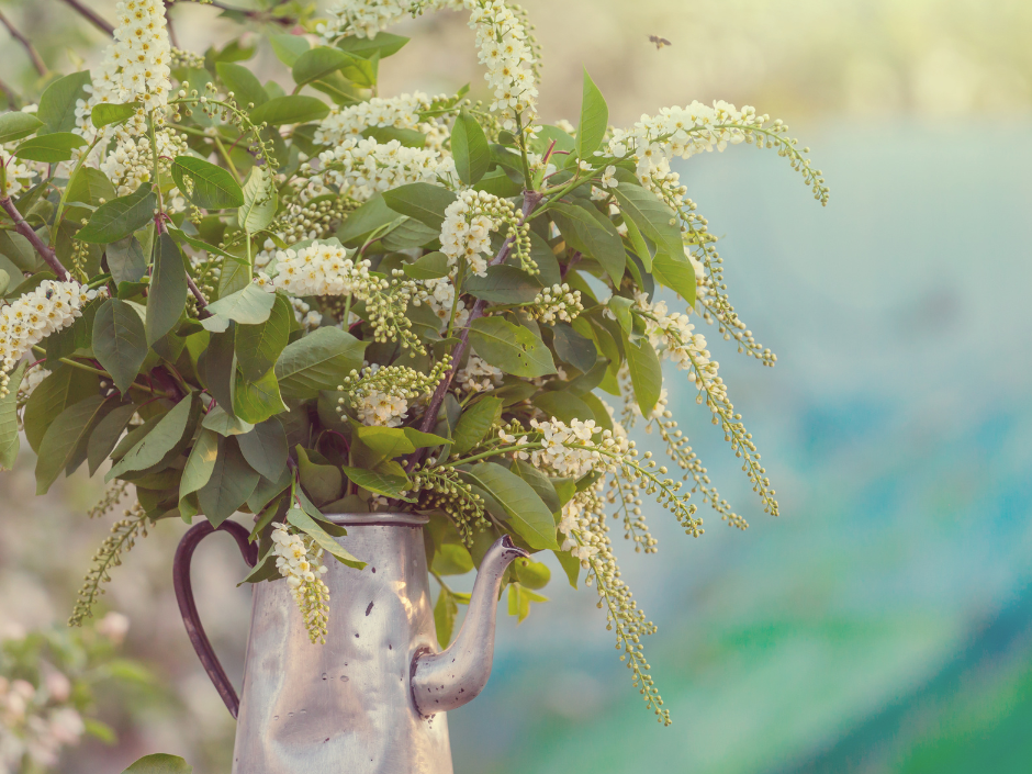 Spring Unveiled: Eterna Home Garden Furniture Welcomes the Season with Style and Anticipation