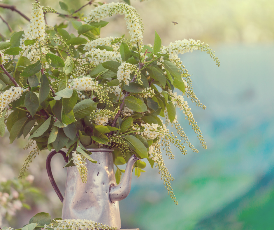 Spring Unveiled: Eterna Home Garden Furniture Welcomes the Season with Style and Anticipation