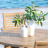 Flower pot on premium teak garden dining set